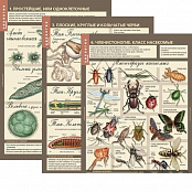 Комплект таблиц "Биология 7 класс Животные" (12 шт.)