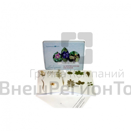 Гербарий "Морфология растений".