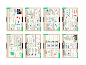 Динамика периодических движений — 8 обучающих плакатов