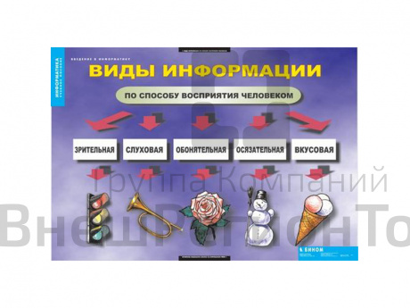 Таблицы "Введение в информатику".