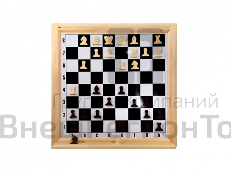 Демонстрационная шахматная доска с магнитными фигурами.