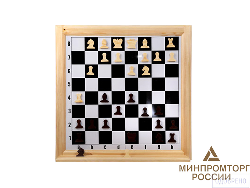 Демонстрационная шахматная доска с магнитными фигурами