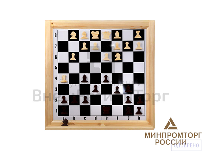 Демонстрационная шахматная доска с магнитными фигурами.