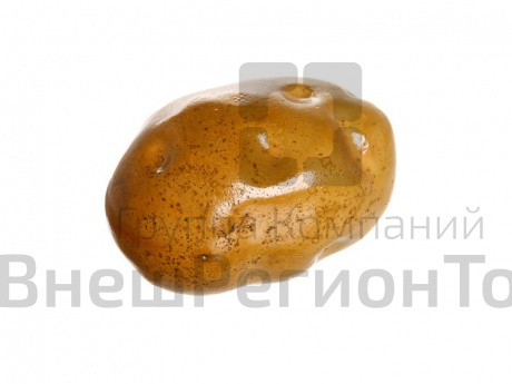 Муляж Картофель.