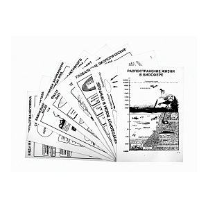 Комплект таблиц по экологии «Биосфера» A4