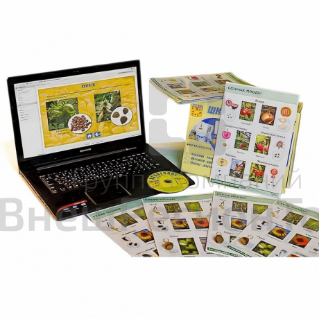 Коллекция натурально-интерактивная Семена и плоды.