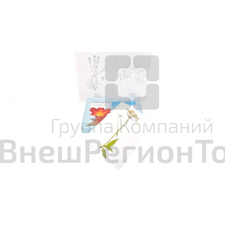 Гербарий "Систематика растений" (28 видов).