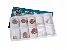 Коллекция образцов Палеонтологическая