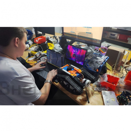 Гусеничный робот «Жук».