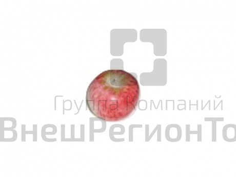 Муляж Яблоко Пепин шафранный.