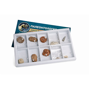 Коллекция образцов Палеонтологическая