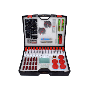 Набор практических работ «От зародыша до взрослого растения», Тип 1