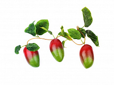 Ветка муляжей Манго