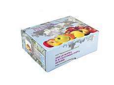 Набор муляжей "Дикая форма и культурные сорта яблок"