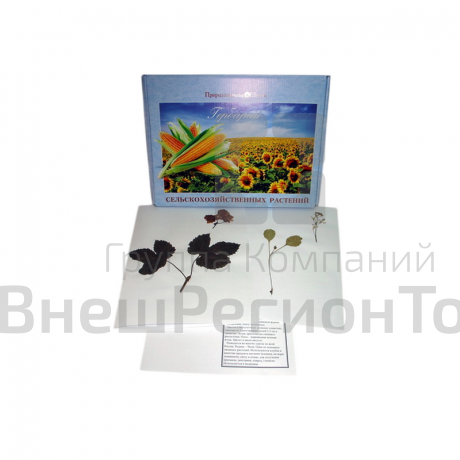 Гербарий "Сельскохозяйственные растения" (28 видов).
