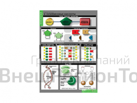 Таблицы "Химия клетки" 3 шт..
