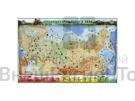 Стенд планшет электрифицированный "Природа России".