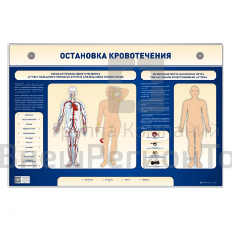 Электрифицированный стенд-тренажер Остановка кровотечения.