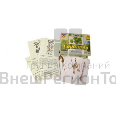 Гербарий "Систематика растений. Семейство Бобовые. Семейство Злаки".