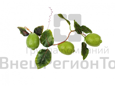 Ветка муляжей Лайм.