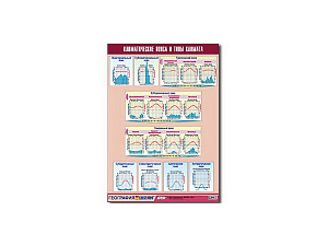 Таблица демонстрационная «Климатические пояса и типы климата» (винил 100х140)