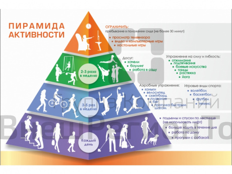 Стенд Пирамида физической активности.