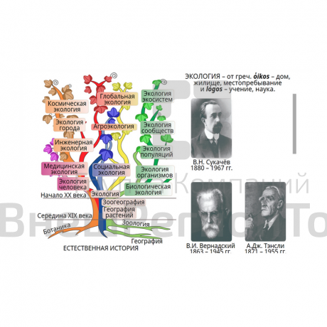 Электронные образовательные ресурсы.