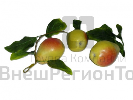 Ветка муляжей Груши.