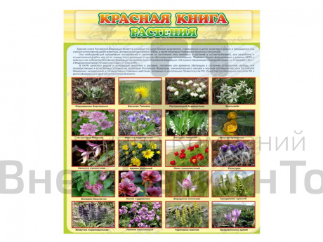 Стенд Красная книга - Растения.