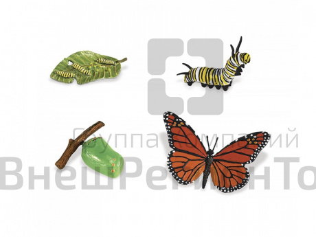 Фигурки Жизненный цикл бабочки монарх 4 шт..