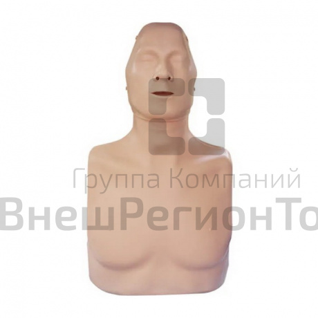 Тренажер-манекен пострадавшего для отработки приемов сердечно-легочной реанимации ТОРС-01 СЛР.