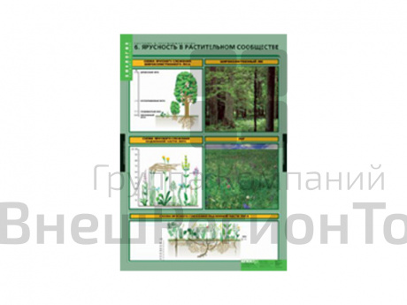 Таблицы "Растения и окружающая среда" 7 шт..