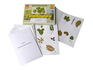 Гербарий «Морфология растений» — 6 тем