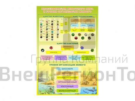Стенд Классификация животного мира.