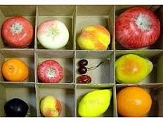 Набор муляжей для рисования