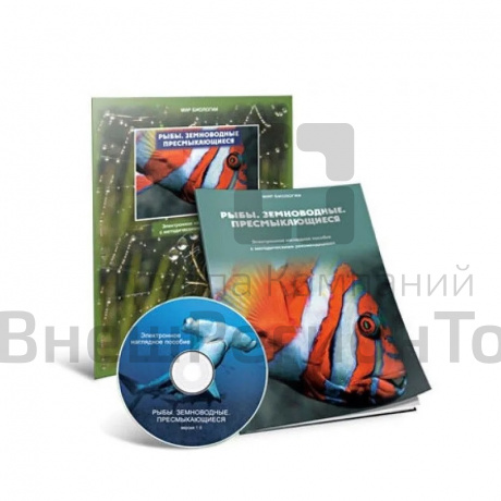 Электронное наглядное пособие «Рыбы. Земноводные. Пресмыкающиеся».