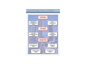 Стенды «Обществознание» 8-9 класс, 7 плакатов 700×1000 мм