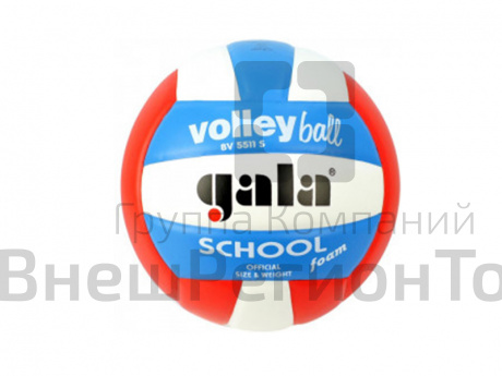 Волейбольный мяч Gala School Foam Colour, р. 5.