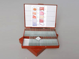 Комплект микропрепаратов «Анатомия» 110 шт.