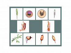 Модель "Размножение мха"