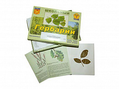 Гербарий "Дикорастущие растения" (30 видов, с иллюстрациями)