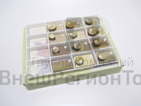 Коллекция "Древесные породы".