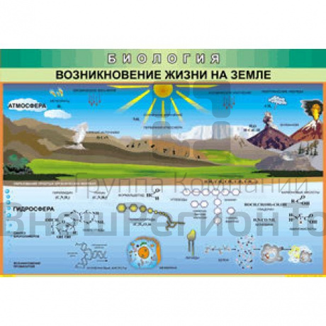 Таблица Возникновение жизни на земле 70х100 винил.