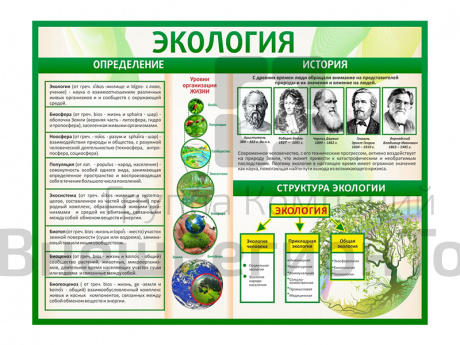 Стенд Экология 130х100 см.