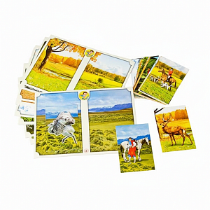 Настольно-печатная игра Вокруг света