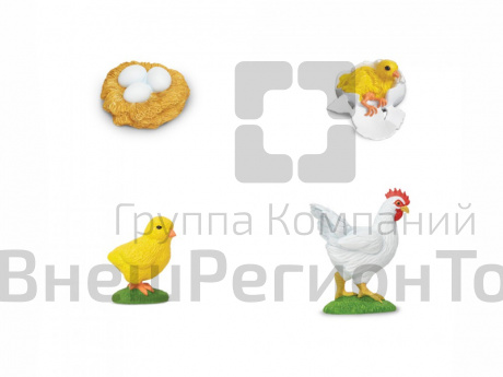 Фигурки Жизненный цикл курицы 4 шт..