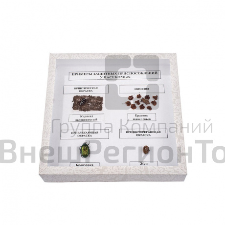 Коллекция энтомологическая "Примеры защитных приспособлений у насекомых".