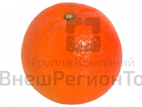 Муляж Мандарин.
