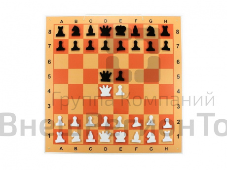 Демонстрационная шахматная доска с магнитными фигурами, 100х100 см.