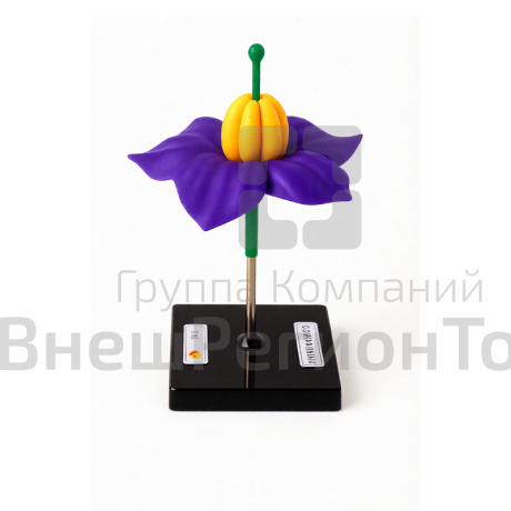 Модель цветок картофеля.